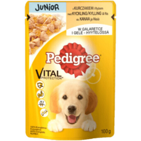 Pedigree Nassfutter Junior Hund mit Huhn und Reis, 100 g