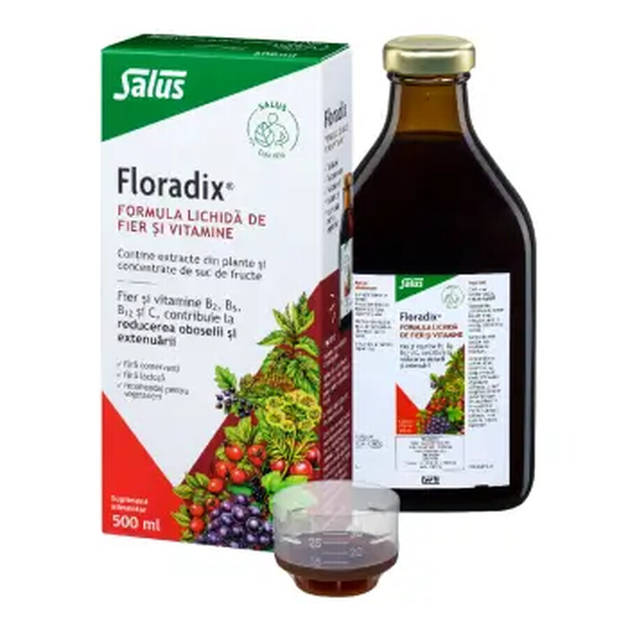 Floradix flüssige Eisen- und Vitaminformel, 500 ml, Salus