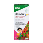 Floradix Kinderpräparat, flüssige Eisen- und Vitaminformel, 250ml, Salus