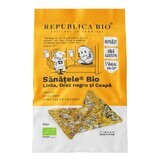 Sanatele Bio cu linte, orez negru si ceapa, ecologic, fara gluten, 40 g, Republica Bio