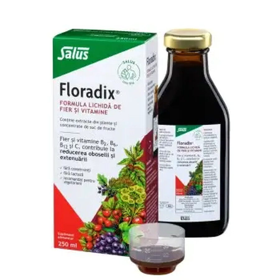 Floradix flüssige Eisen- und Vitaminformel, 250 ml, Salus