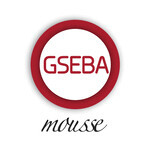 Gseba foam, 100 ml, Meditrina Pharmaceuticals