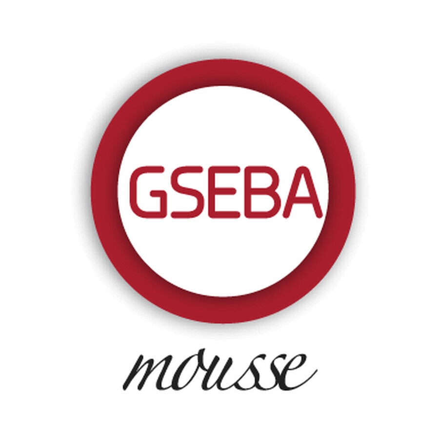 Gseba foam, 100 ml, Meditrina Pharmaceuticals