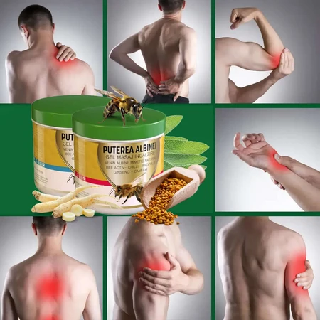 Wärmendes Massagegel mit Bienengift Bee Power, 275 ml, Praemium