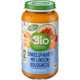 DmBio Menu Spaghetti Bolognese mit Linsen, ab 12 Monaten, 250 g