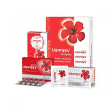 Uriprev Complex, 10 capsule + 12 plicuri + 80 g, Hyllan 