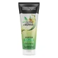 Reparaturshampoo für strapaziertes Haar Detox+Repair, 250 ml, John Frieda
