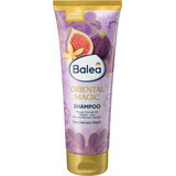 Balea Orientalisches Magisches Shampoo, 250 ml