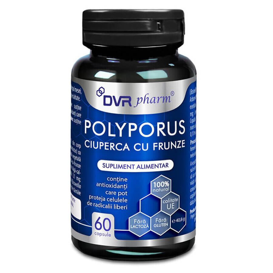 Polyporus Mushroom with Leaves, 60 capsules, DVR Pharm