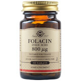 Folacin Folsäure 800 mcg, 100 Tabletten, Solgar