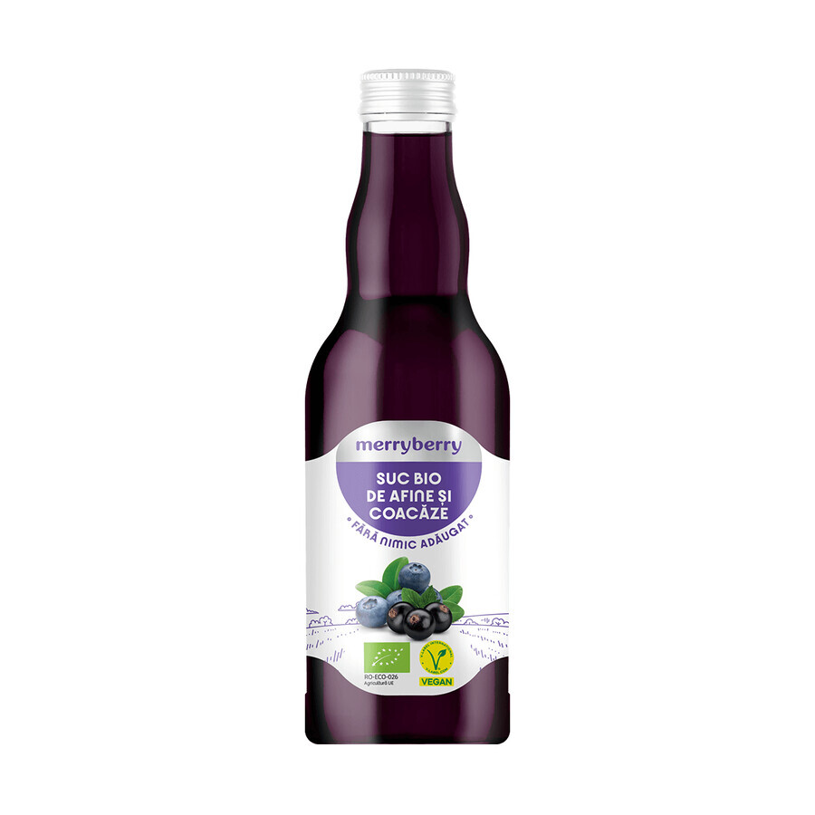 Bio-Cranberry- und schwarzer Johannisbeersaft, 200 ml, MerryBerry