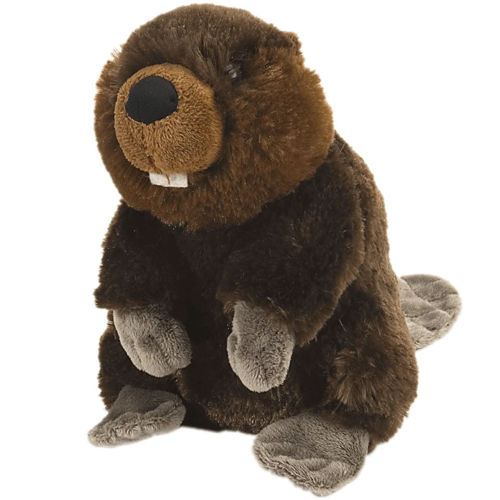 Biber Plüschtier, 20 cm, + 24 Monate, Wild Republic