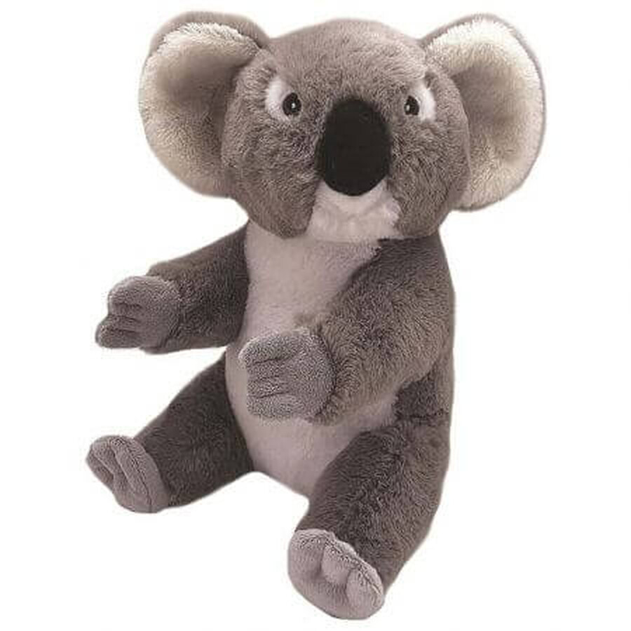 Ecokins Plüschtier, 20 cm, Urs Koala, Wild Republic