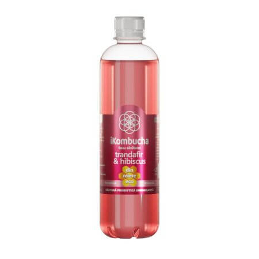 Rose und Hibiskus fermentiertes Getränk, 500ml, iKombucha