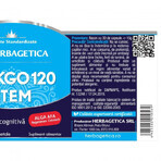 Ginkgo 120 Stem, 120 Kapseln, Herbagetica