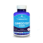 Ginkgo 120 Stem, 120 Kapseln, Herbagetica
