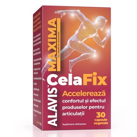 CelaFix, 30 vegetarische Kapseln, Alavis Maxima