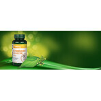 Gymnema Sylvestre 400 mg, 90 Kapseln, VitaKing