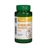 Gymnema Sylvestre 400 mg, 90 Kapseln, VitaKing