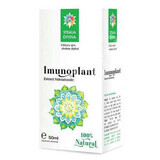 Imunoplant Tinktur, 50 ml, Göttlicher Stern