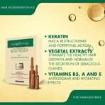 Kit regenerare par Gerovital Tratament Expert, 10 fiole x 10 ml, 10 fiole x 5 ml , Farmec