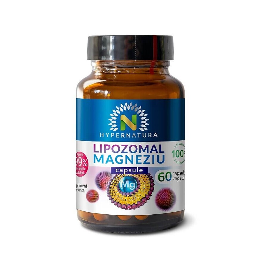 Lipozomales Magnesium, 60 pflanzliche Kapseln, Hypernatura