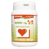 Magnesium + Q10, 40 Kapseln, Favisan