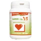 Magnesium + Q10, 40 Kapseln, Favisan