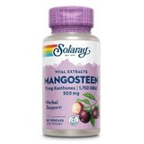 Mangosteen 500mg Solaray, 60 capsule, Secom