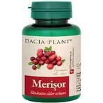 Merisor, 60 Tabletten, 1+1, Dacia Werk