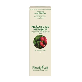 Bourgeons d'airelles, 15 ml, Plant Extrakt