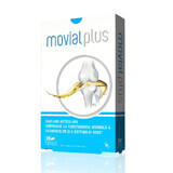 Movial Plus, 28 capsule, Actafarma