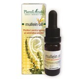 Mullein Oil, 10 ml, Plant Extrakt