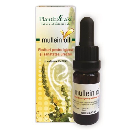 Mullein Oil, 10 ml, Plant Extrakt