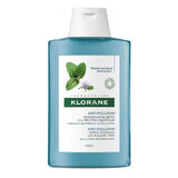 Detoxifying shampoo with aquatic mint extract for hair exposed to pollution, 200 ml, Klorane