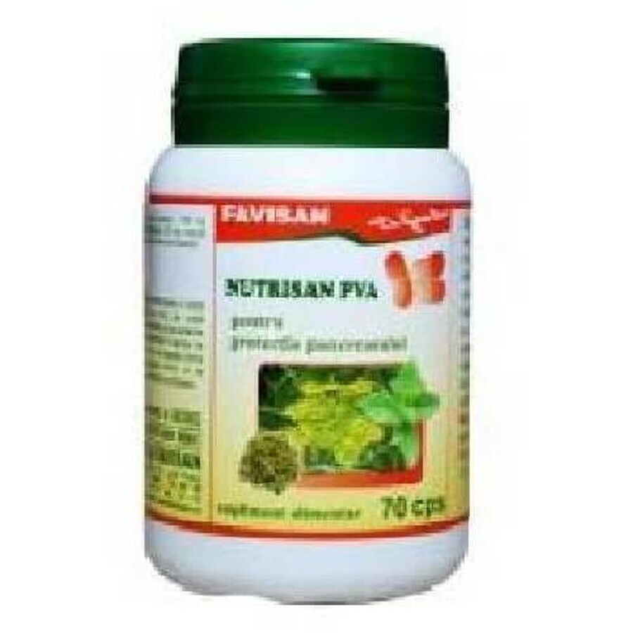 Nutrisan PVA, 70 Kapseln, Favisan