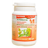 Nutrisan R2, 40 capsule, Favisan