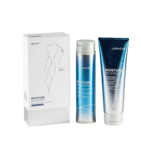 Pachet Xmas 2020 Moisture Recovery Sampon 300 ml + Conditioner 250 ml, Joico