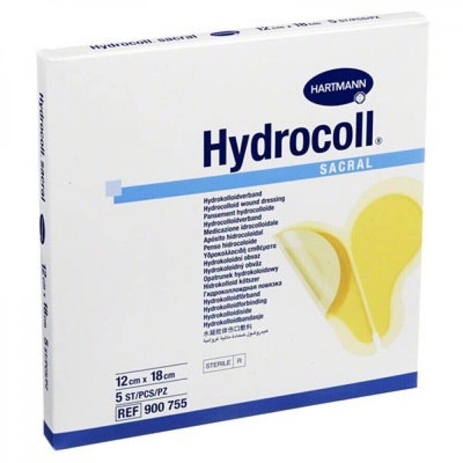 Hydrocoll Sacral Dressing, 12 x 18 cm (900755), 5 Stück, Hartmann