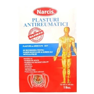 Antirheumatisches Pflaster mit Narcissus-Chili-Schote, 12 cm x 18 cm, Henan Kangdi