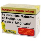 Natürliche Multivitamine mit Calcium und Magnesium, 40 Kapseln, Hofigal