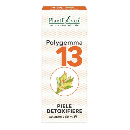 Polygemma 13 Entgiftende Haut, 50 ml, Pflanzenextrakt