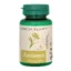 Antistress, 60 Tabletten, Dacia Plant