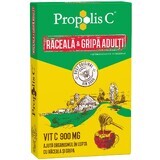 Propolis C Erkältung und Grippe Erwachsene, 8 Portionsbeutel, Fiterman Pharma