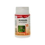 Pufulita, 40 capsule, Favisan