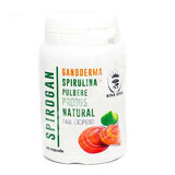 Pulbere ganoderma și spirulină Spirogan, 60 capsule, King Spor