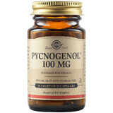 Pycnogenol 100 mg, 30 Kapseln, Solgar