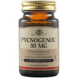 Pycnogenol 30 mg, 30 capsule, Solgar