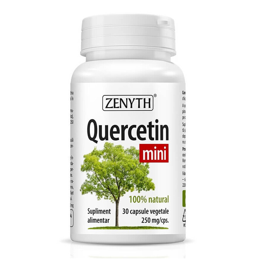 Quercetin mini, 30 vegetarische Kapseln, Zenyth