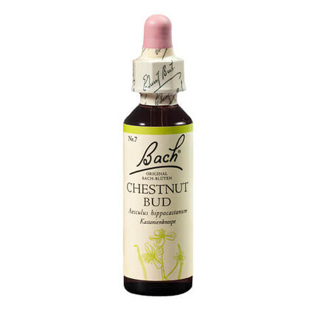 Flower Remedy Wild Chestnut Bud Original Bachblüten, 20 ml, Rescue Remedy